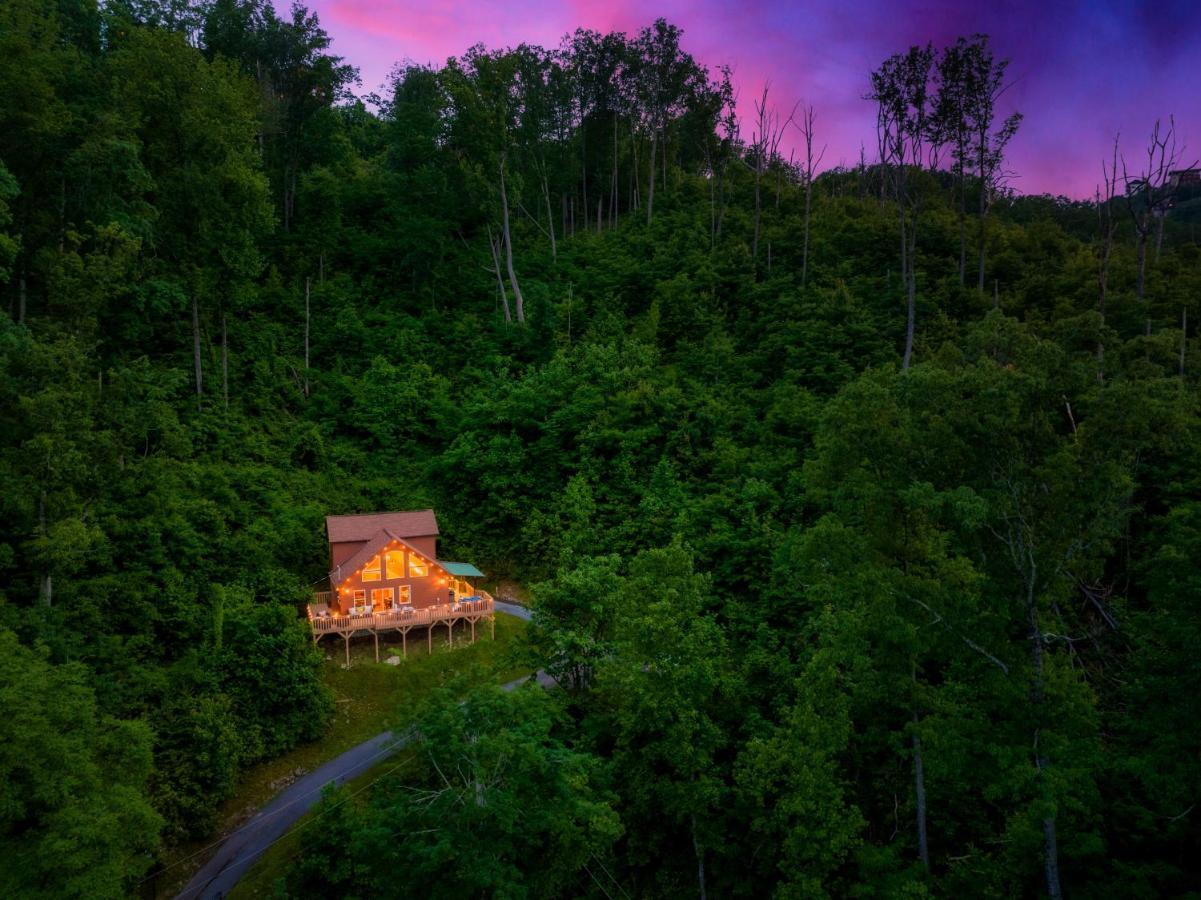 Mountainside - New Luxury Cabin-Fire Table-Hot Tub-3 Pools-Ps5-Bears Gatlinburg Eksteriør billede